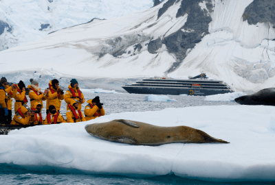 Diventure Antarctic Gallery Photo10