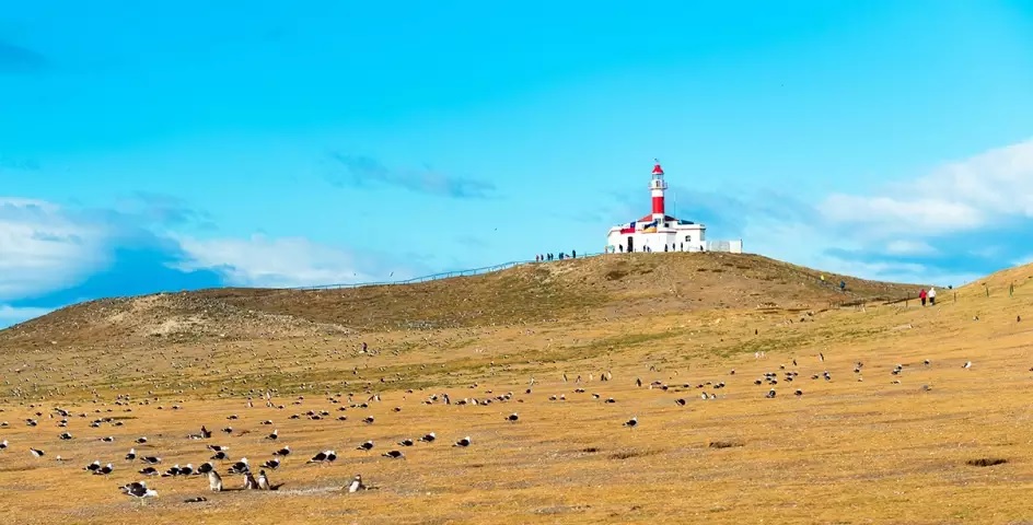 quarksexpeditions-adobestock-229417007-islamagdalena-patagonia