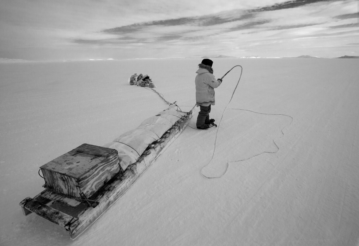 Inuit-hunter-and-dogs