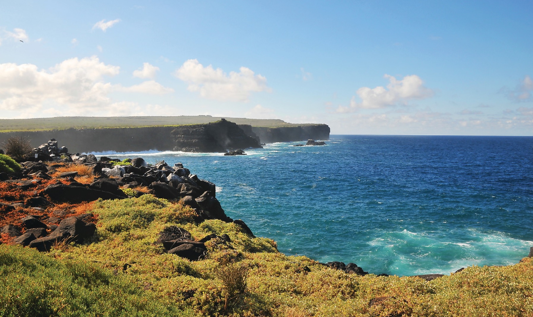 Landscape of the cliffs at Punta Suarez, Espanola Island