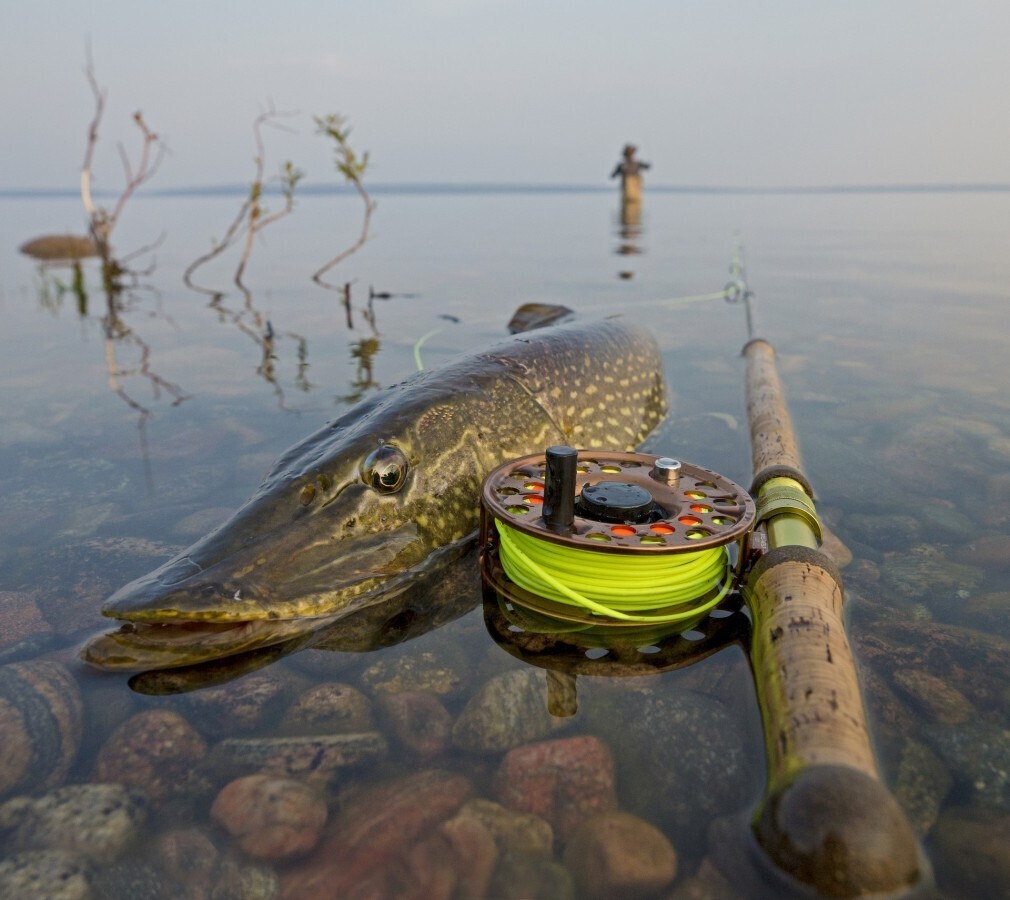 Northern_Pike_Fishing_at_Arctic_Haven