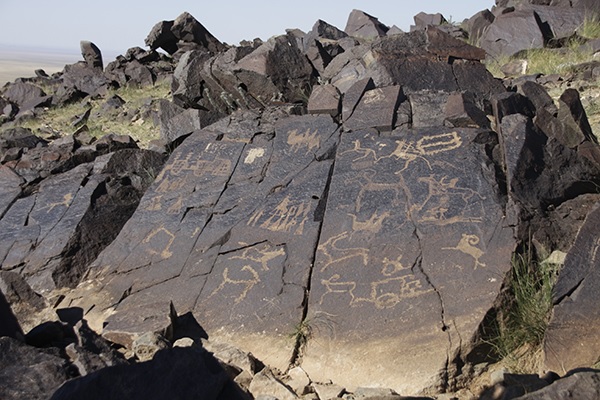 Day-9-MN-Gobi-Havtsgait-Largest-Collection-of-petroglyphs-Wide-Angle-copyright-Buya
