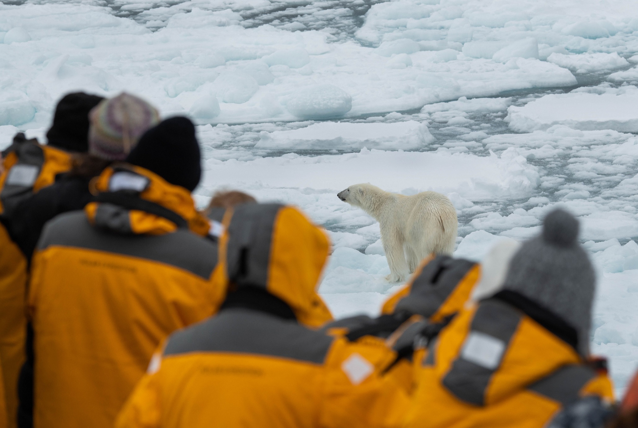 QuarkExpeditions_ThreeArcticIslands-Northbound_Credit-Cindy Hopkins Miller-2