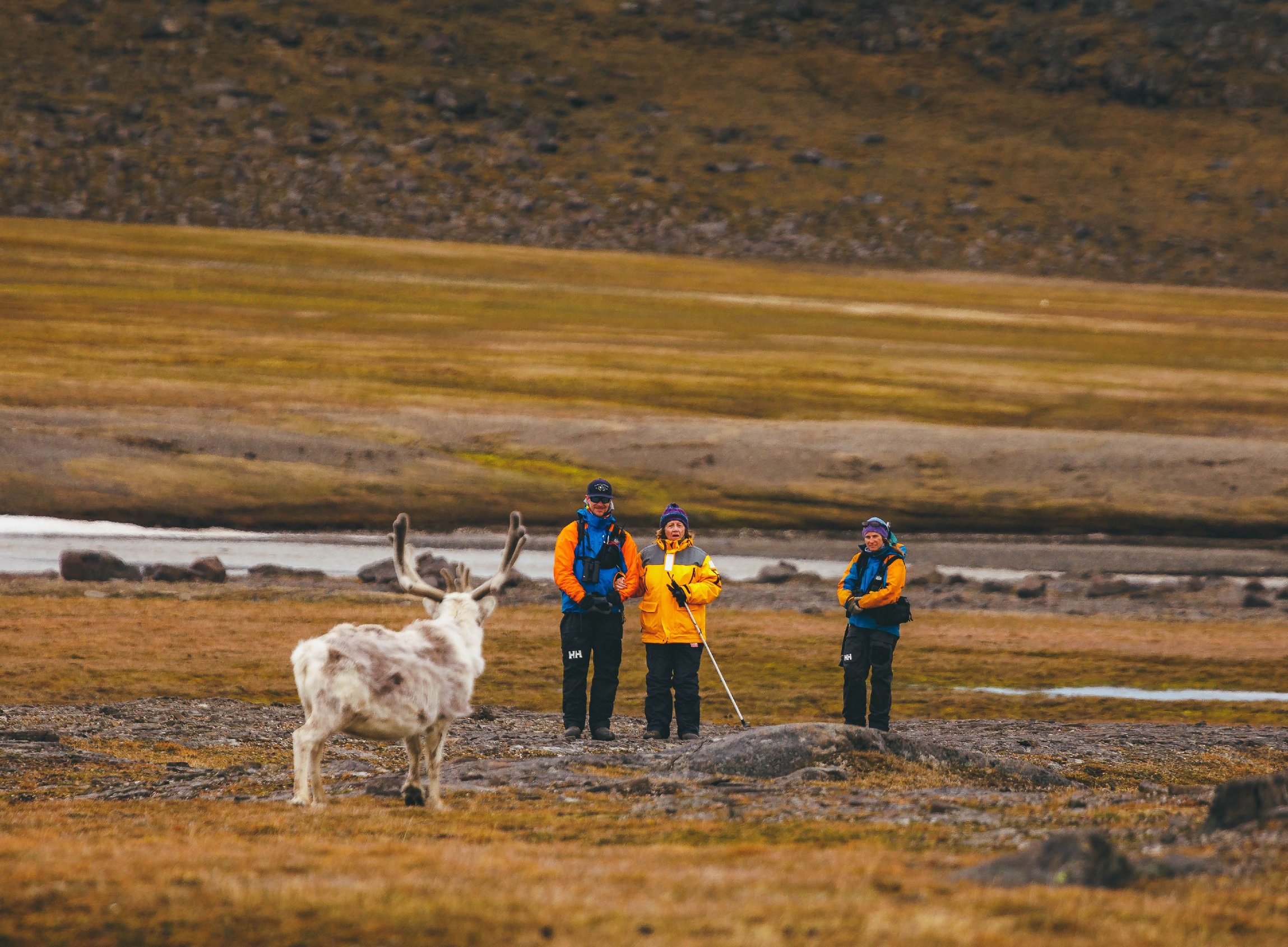 QuarkExpeditions_ThreeArcticIslands-Northbound_Credit_DavidMerron