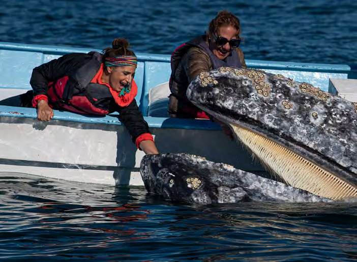 DIGITAL-Nautilus-2021-2022-Brochure_compressed_page47_image34